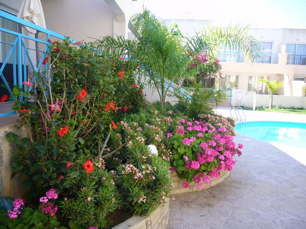 Blue Oasis Gardens Daire Limasol Dış mekan fotoğraf